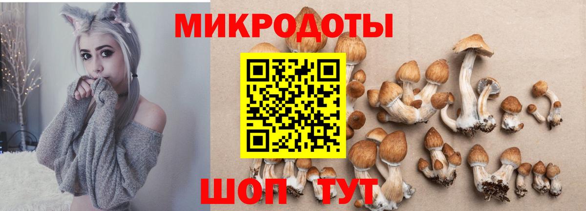Протвино  Галлюциногенные грибы Psilocybe  Вход с VPN 